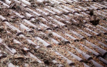 Poyntington roof cleaning companies